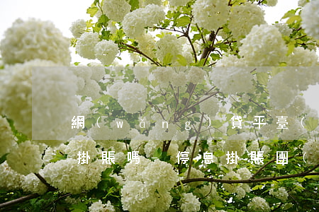 網(wǎng)貸平臺(tái)可以停息掛賬嗎-停息掛賬團(tuán)隊(duì)是真的嗎