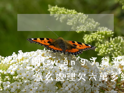 網(wǎng)貸平臺(tái)欠了6萬怎么處理(欠六萬多網(wǎng)貸有什么辦法)