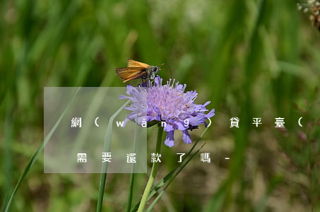 網(wǎng)貸平臺(tái)清退后不需要還款了嗎-