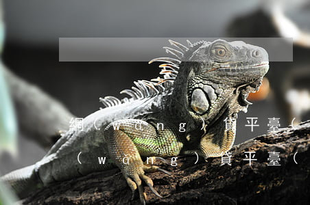 網(wǎng)貸平臺(tái)被下架(網(wǎng)貸平臺(tái)下架了還用還錢嗎)