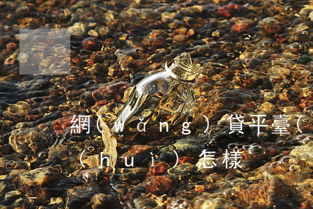 網(wǎng)貸平臺(tái)逾期了會(huì)怎樣