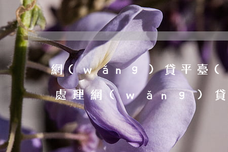 網(wǎng)貸平臺(tái)逾期怎么處理(網(wǎng)貸平臺(tái)逾期不還款應(yīng)該怎么辦?)