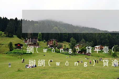 網(wǎng)貸平臺(tái)逾期怎么辦(網(wǎng)貸逾期怎么辦啊)
