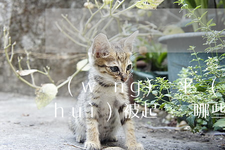 網(wǎng)貸平臺(tái)逾期會(huì)被起訴嗎(哪些網(wǎng)貸逾期會(huì)被起訴)