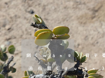 網(wǎng)貸平臺(tái)郵寄律師函有關(guān)系嗎(網(wǎng)貸郵寄過來的律師函是真的么)