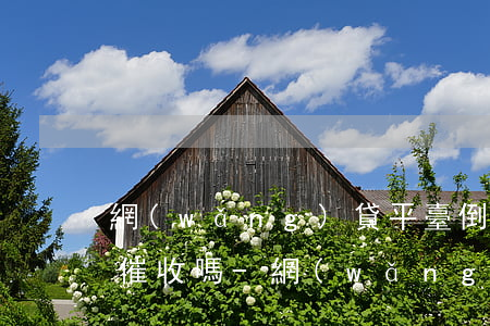網(wǎng)貸平臺倒閉了還不了款會被催收嗎-網(wǎng)貸平臺倒閉了還不了款會被催收嗎知乎