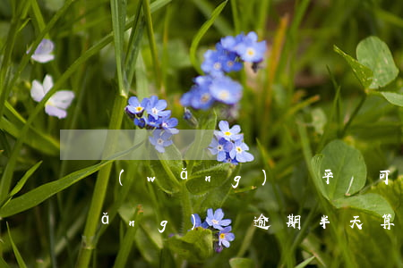 網(wǎng)貸平臺可以逾期幾天(網(wǎng)貸逾期半天算逾期嗎)
