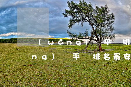 網(wǎng)貸平臺排名最安全(網(wǎng)貸平臺排名最安全的有哪些)