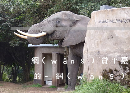 網(wǎng)貸平臺提前還款利息怎么算的-網(wǎng)貸平臺提前還款利息怎么算的呢