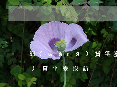 網(wǎng)貸平臺會起訴 網(wǎng)貸平臺投訴