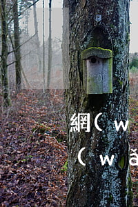 網(wǎng)貸平臺欠一萬會被起訴么(網(wǎng)貸平臺欠一萬會被起訴么)
