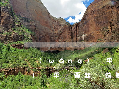 網(wǎng)貸平臺要起訴(網(wǎng)貸平臺要起訴前都會發(fā)信息告知需要準備的應訴材料嗎)