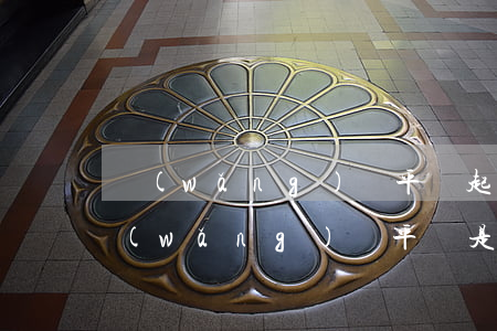 網(wǎng)貸平臺起訴怎么查(怎么查網(wǎng)貸平臺是否合法)