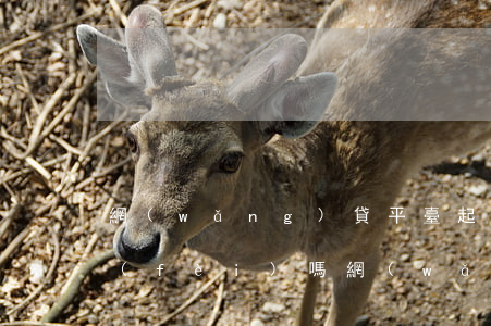 網(wǎng)貸平臺起訴我我用拿起訴費(fèi)嗎（網(wǎng)貸平臺起訴我）