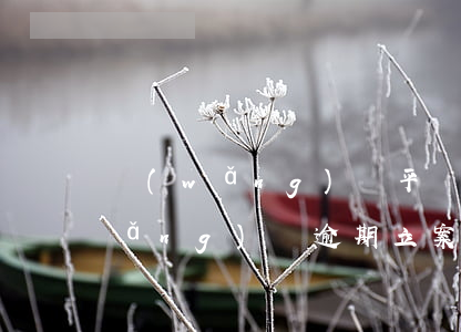 網(wǎng)貸平臺逾期后的公告(網(wǎng)貸逾期立案)