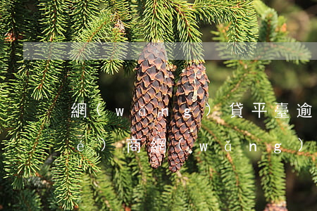 網(wǎng)貸平臺逾期多久會協(xié)商(網(wǎng)貸逾期多久會被網(wǎng)絡(luò)仲裁)