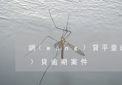 網(wǎng)貸平臺逾期案(網(wǎng)貸逾期案件)
