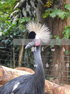 網(wǎng)貸幾千塊錢不還怎么辦(網(wǎng)貸一千多不還會怎樣)