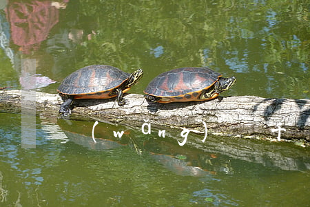 網(wǎng)貸幾千塊錢不還會怎樣