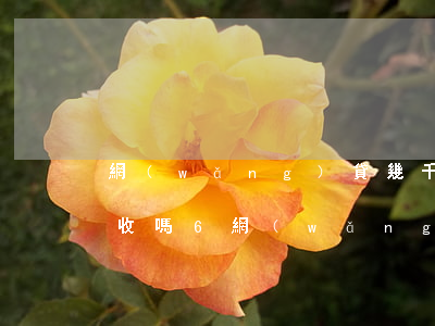 網(wǎng)貸幾千會(huì)上門催收嗎6(網(wǎng)貸逾期幾千塊錢會(huì)上門催收嗎)