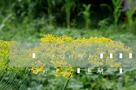 網(wǎng)貸幾塊錢逾期十幾天(網(wǎng)貸逾期一個(gè)小時(shí))