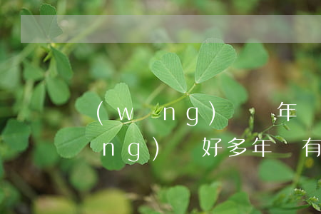 網(wǎng)貸幾年沒還了怎么辦(網(wǎng)貸好多年沒有還)