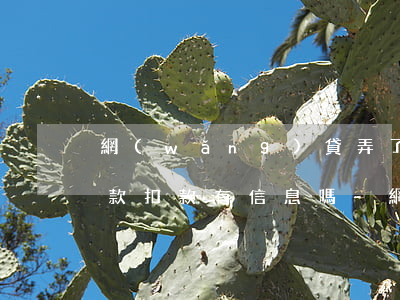 網(wǎng)貸弄了自動(dòng)還款扣款有信息嗎-網(wǎng)貸弄了自動(dòng)還款扣款有信息嗎安全嗎