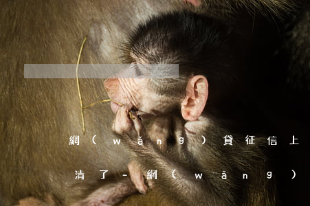 網(wǎng)貸征信上有逾期記錄但是還清了-網(wǎng)貸征信上有逾期記錄但是還清了怎么辦