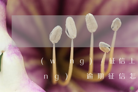 網(wǎng)貸征信上顯示逾期嗎(網(wǎng)貸逾期征信怎么顯示)