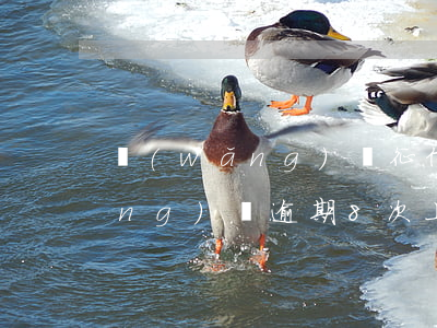 網(wǎng)貸征信逾期13次(網(wǎng)貸逾期8次上征信能買房嗎)