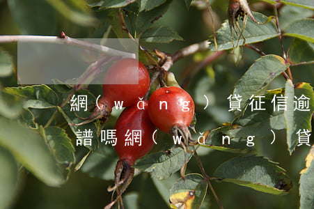 網(wǎng)貸征信逾期修復(fù)靠譜嗎(網(wǎng)貸導(dǎo)致征信不好多久可以恢復(fù))
