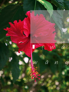 網(wǎng)貸征信逾期多久起訴(欠網(wǎng)貸逾期多久上征信)