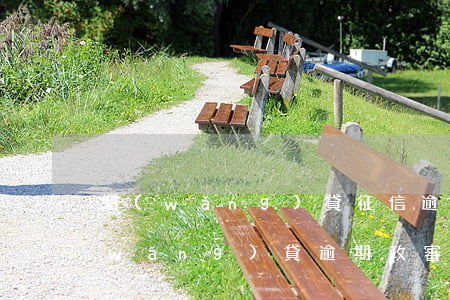 網(wǎng)貸征信逾期怎么過政審(網(wǎng)貸逾期政審能查到嗎)
