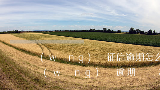 網(wǎng)貸征信逾期怎么隱藏(征信有網(wǎng)貸逾期記錄怎么辦)