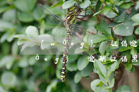 網(wǎng)貸征信逾期是黑戶嗎(網(wǎng)貸逾期征信黑了多久才能消除)