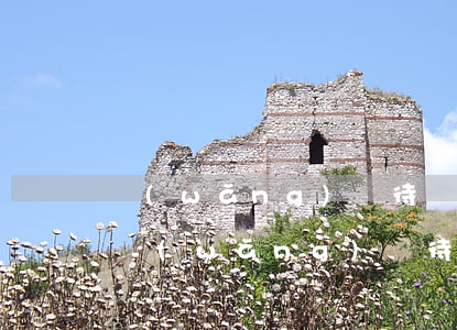 網(wǎng)貸待還總本金包括逾期款嗎(網(wǎng)貸待還總本金包括逾期款嗎)
