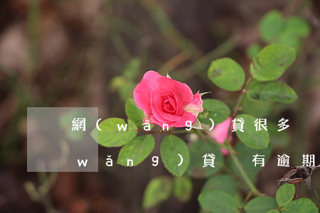 網(wǎng)貸很多沒有逾期能買房(網(wǎng)貸沒有逾期影響買房貸款嗎)