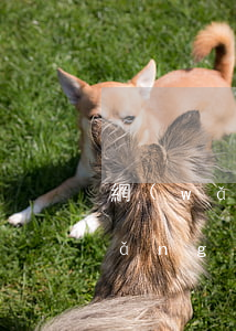 網(wǎng)貸律師函起訴狀副本(網(wǎng)貸律師起訴告知函)