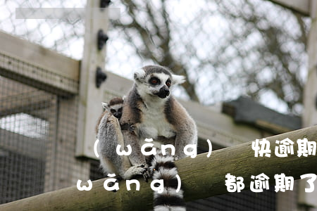 網(wǎng)貸快逾期了該怎么坦白(網(wǎng)貸都逾期了怎么正確處理)