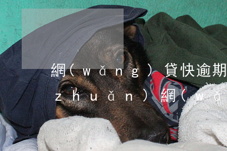 網(wǎng)貸快逾期了辦信用卡周轉(zhuǎn)(網(wǎng)貸快逾期了辦信用卡周轉(zhuǎn))