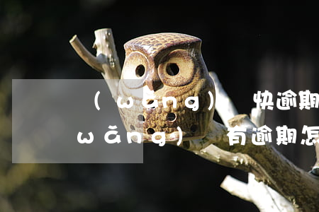 網(wǎng)貸快逾期用信用卡補救 網(wǎng)貸有逾期怎么辦信用卡