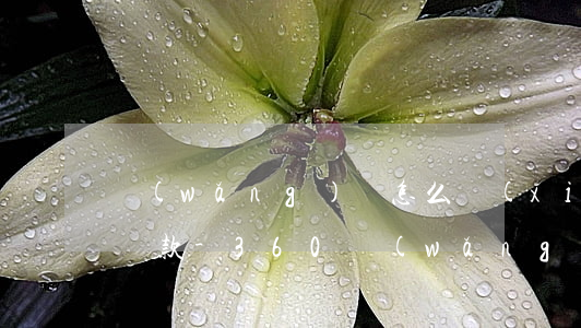 網(wǎng)貸怎么協(xié)商延期還款-360網(wǎng)貸怎么協(xié)商延期還款