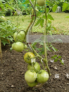 網(wǎng)貸怎么協(xié)商還款延期,還不收利息-網(wǎng)貸如何協(xié)商延期還款