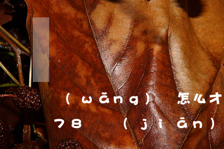 網(wǎng)貸怎么才能只還本金(12378銀監(jiān)局介入網(wǎng)貸協(xié)商還款)