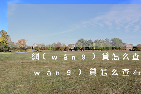 網(wǎng)貸怎么查看還欠多少錢(網(wǎng)貸怎么查看還欠多少錢)