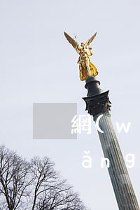 網(wǎng)貸怎么查自己被起訴 網(wǎng)貸怎么查自己被起訴