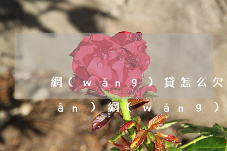 網(wǎng)貸怎么欠到欠款35萬(wàn)(網(wǎng)貸欠款25萬(wàn)沒能力還了)