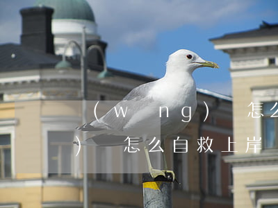網(wǎng)貸怎么自救-網(wǎng)貸怎么自救上岸