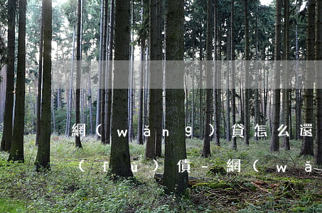 網(wǎng)貸怎么還款可以快速降低負(fù)債-網(wǎng)貸怎么還款可以快速降低負(fù)債率