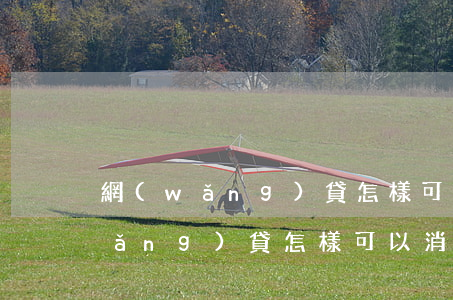 網(wǎng)貸怎樣可以消除逾期(網(wǎng)貸怎樣可以消除逾期)